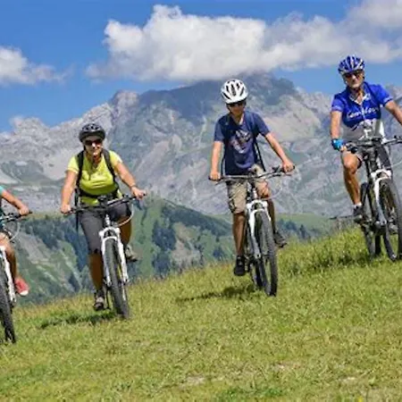 Les Aiguilles De Warens 3* Combloux